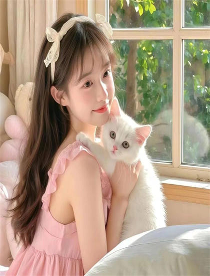 《越南：快速前进》娱乐指数：观赏性与娱乐价值综合评价